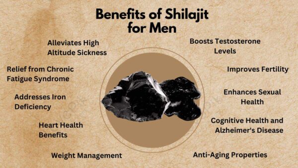 Golden Wellness Blend: Shilajit, Swarna Bhasma, Ashwagandha, and Safed Musli for Energy, Immunity, and Cognitive Support - Image 5